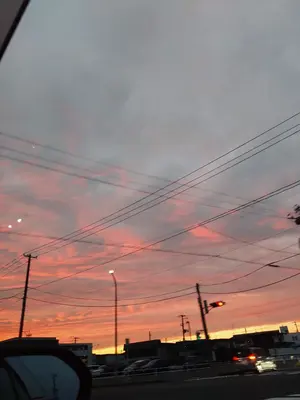 B15881 美品 オーラリー　コットンキャメルダブルクロスシャツコート1 B15881 美品 オーラリー コットンキャメルダブルクロスシャツ