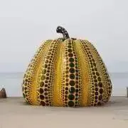 オートハーフ　メンテナンス完了&試写良好 12/29〜1/4まで発送不可 オートハーフ メンテナンス完了&試写良好 12/29〜1/4まで発送不可