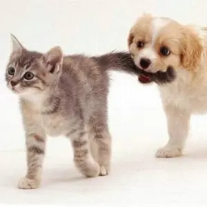 街の雑貨屋さん　sonrisa