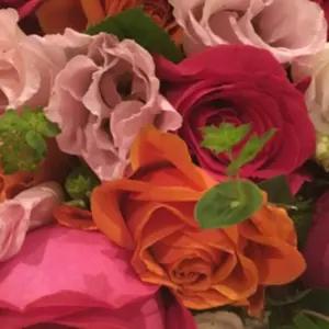 アユ様専用)美品TOFF&LOADSTONE ハイエンドキャンバス - メルカリ