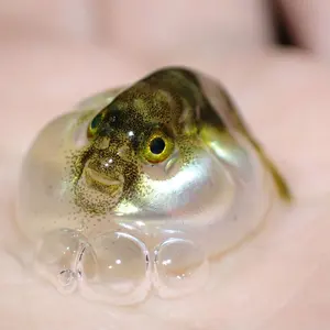 リメイク ショルダーバッグ y2k グランジ 星 - メルカリ