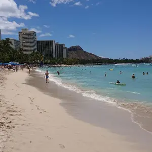 たま(3月26日まで発送お休みです)