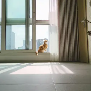 カンダニエル ワナワン 写真集 アクスタ うちわ 缶バッジ ステッカー