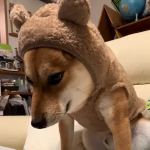 EVISU エヴィス ローライズデニム Y2K ギャル ウエスト細め - メルカリ