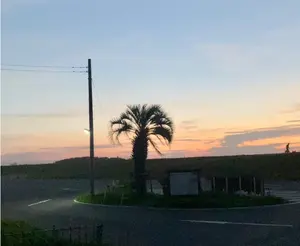 深コンケーブ】HIC サーフボード Hawaiian Island Creat - メルカリ