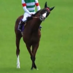 ファイヤー フリーザー サンダー web 連番 カードe 1th PSA10 - メルカリ