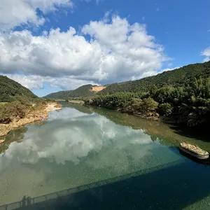ブルーブルー ジョインテットクロー マグナム イエローハート - メルカリ
