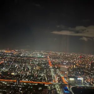 鹿島アントラーズ LEO SILVA 4番 ユニフォーム - メルカリ