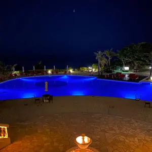 最終値下げ】SHIMOTUKE鮎ベスト 髙橋祐次プロ - メルカリ