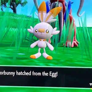 ポケモンカード ドダイトスlvX 1st Ed PSA 10 GEM MINT - メルカリ