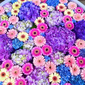 【新品未開封】ハイキュー ミルクレア キャンペーン当選品 アクリルスタンド 新品未開封】ハイキュー ミルクレア キャンペーン当選品 アクリル