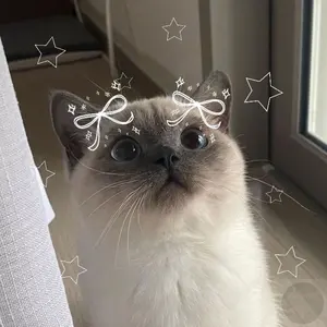 サンガ サイン入りクリアファイル - メルカリ