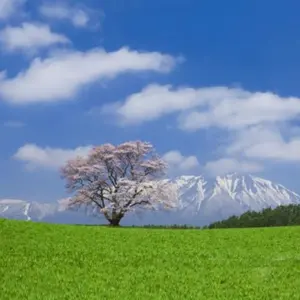 べりーないす⛄️