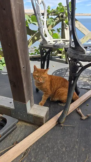 アーセナル 19-20FA杯優勝記念 ユニフォーム - メルカリ