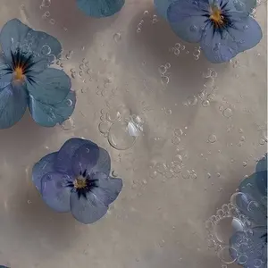 メリー / 鹿乃 【 廃盤 】 - メルカリ