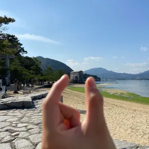 日本茶インストラクター講座 2023年度版 学習教材 - メルカリ