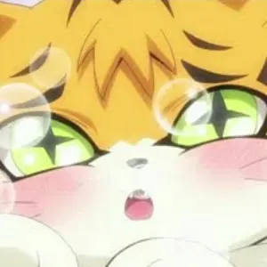 ニャンキー