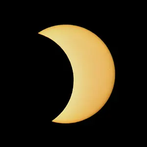 FUJICHROME Velvia135 ISO感度50 36枚撮り12本 - メルカリ