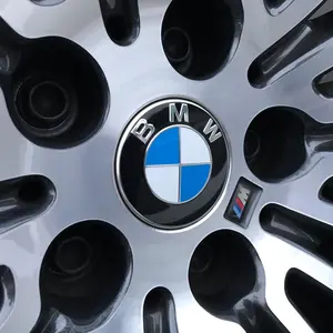 YAMAHA SG用ホワイトピックアップエスカッション 極美品 送料込 - メルカリ