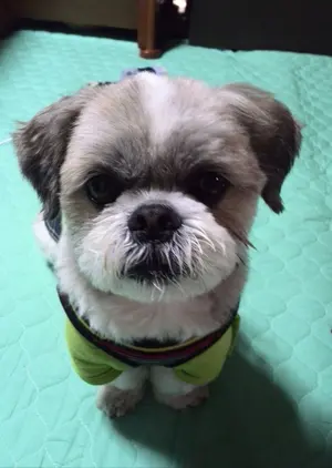 HARUKI MINATO スタイリングバーム3個プラスおまけの1個 - メルカリ