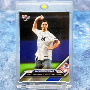 2デッキ分【ケルシーデッキ+アーミヤデッキ+パーツ】116枚 2デッキ分【ケルシーデッキ+アーミヤデッキ+パーツ】116枚