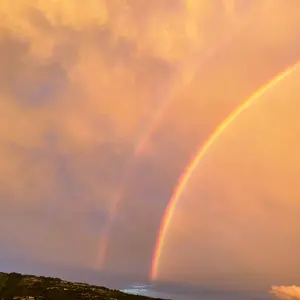 サンキ・サンキ