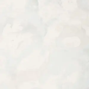 最終値下げ THE SHISHIKUI シシクイ border - メルカリ
