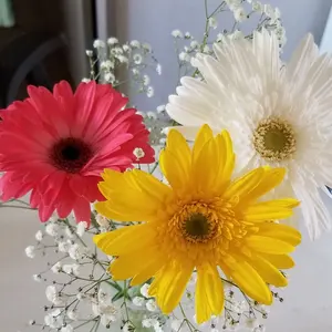 最安値‼️ゴルフウェアまとめ売り‼️２２点‼️ブランドバラバラ➕おまけ付き ゴルフウェアまとめ売り‼️22点‼️ブランドバラバラ➕おまけ付き