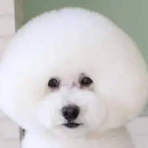 あず