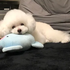 専用♡ルナブルーLuna Blue♡ティファニーブルーケーキワンピ♡2枚