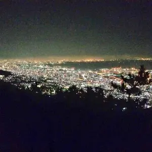 便利堂 鷺図 単庵智伝筆 紙本墨画 室町時代 - メルカリ