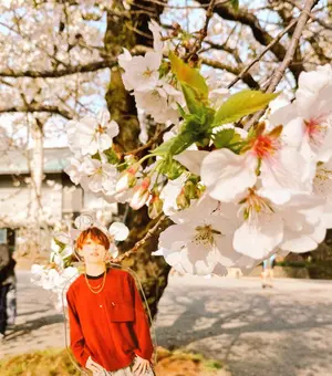 浦島坂田船 DVD 円盤 夏ツ SUMMER TOUR 2023 Plusss - メルカリ