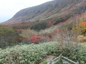 アメリカ油彩 アンディ・ウォーホル「人物」サイン F6額装済み 肉筆