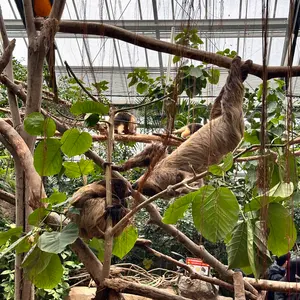 タイのヤードム ポイシアン アロマスティック60個セット 使用期限は