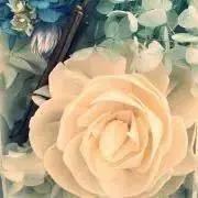 レトロン　プロフ必読