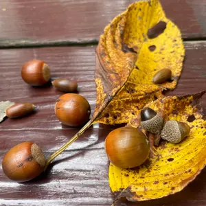 ホワイト冷蔵庫 IWBLP70003B 175cm - メルカリ