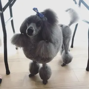 美品 マックスマーラ ロングドレス カシュクール ウエストリボン 白