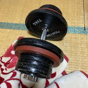 希少 VENEX トレーナーズクロス 大 200cm×150cm - メルカリ