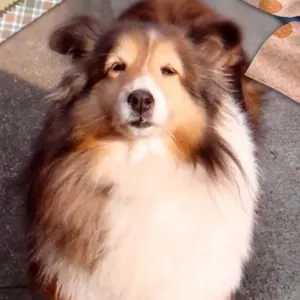 ☆プロフ必読☆はる