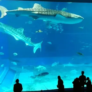 使用期間2カ月SHARP 19㌅液晶テレビ 2025年製 - メルカリ