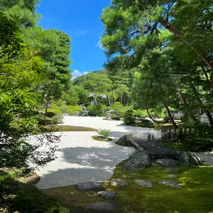 BEEHIVE（蜂の巣） カイフランク - メルカリ