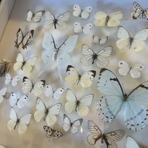 Cy'shops様 - メルカリ