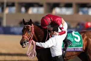 船橋競馬場 日本テレビ盃 フォーエバーヤング 記念馬券 坂井瑠星 JRA