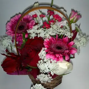 かすく　紫陽花　アジサイ　久遠　くおん　ブルー　なゆた　ピンク かすく様専用 紫陽花 アジサイ 久遠 くおん ブルー なゆた ピンク