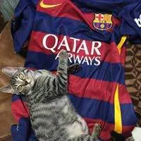 KAMO サッカーレプリカユニ3枚入り福袋 2XL 中身未確認 - メルカリ