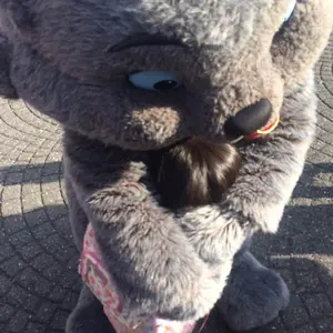 BUCK-TICK バクチク　メンバー全員のサイン　生写真付き！ BUCK-TICK バクチク メンバー全員のサイン 生写真付き！ - メルカリ