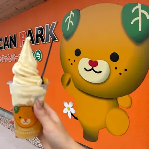 新品 ジャックジャンヌ Switch ブロッコリーオフィシャルストア早期