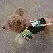 cocochan♡疑問質問はご購入前に⌘