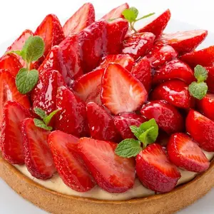 新品未使用】イイホシユミコOval Flatine ミスティピンク 冬の贈り物