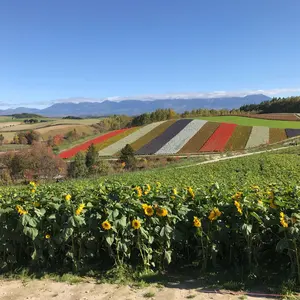 ヴォレアス北海道 2025-26シーズントレーニングジャージ - メルカリ